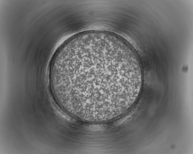 X0000099501078200805291123