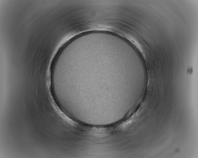 X0000099501080200805291123