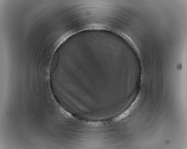 X0000099501081200805291123