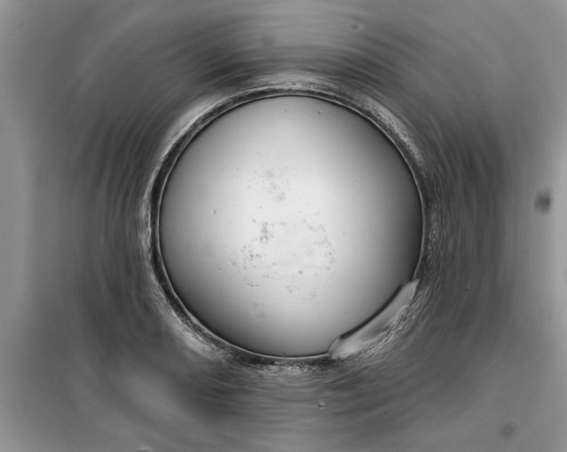 X0000099501082200805291123