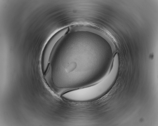 X0000099501084200805291123