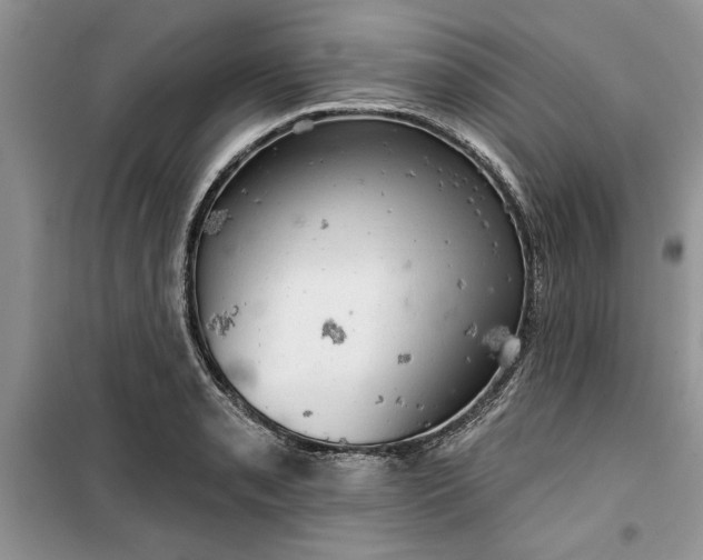 X0000099501085200805291123