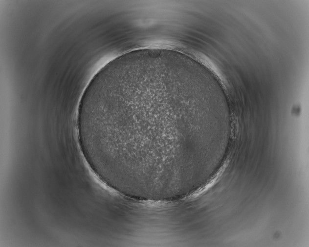 X0000099501087200805291123