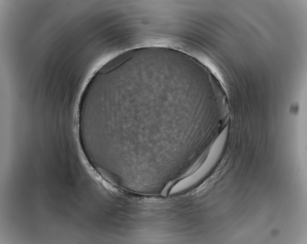 X0000099501088200805291123