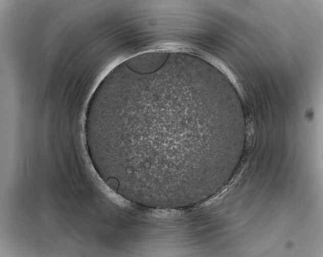 X0000099501091200805291123