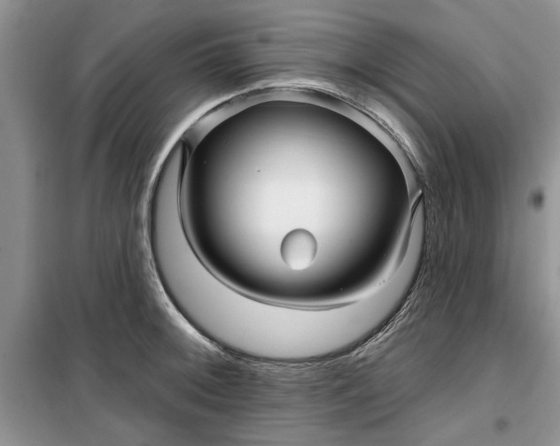 X0000099501092200805291123