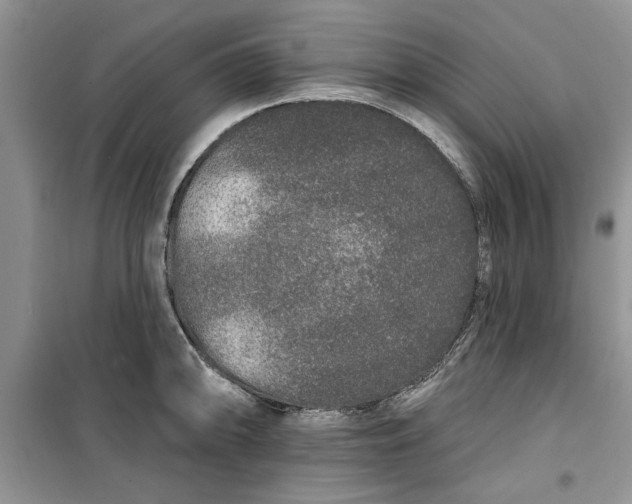 X0000099501094200805291123