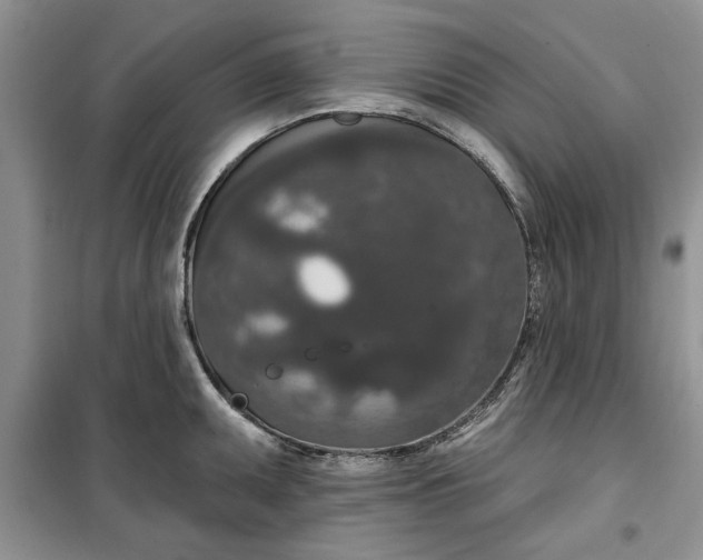 X0000099501095200805291123