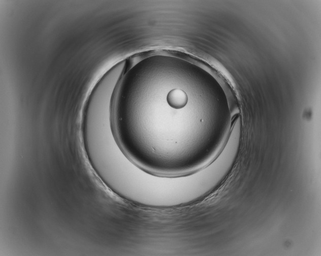 X0000099501096200805291123