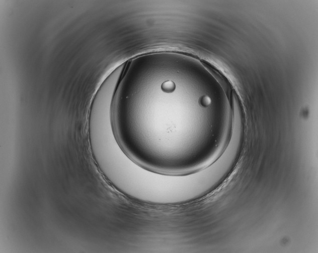 X0000099501097200805291123