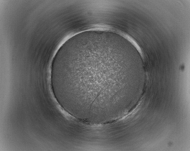 X0000099501099200805291123