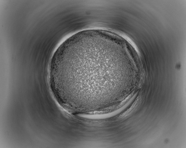 X0000099501101200805291122