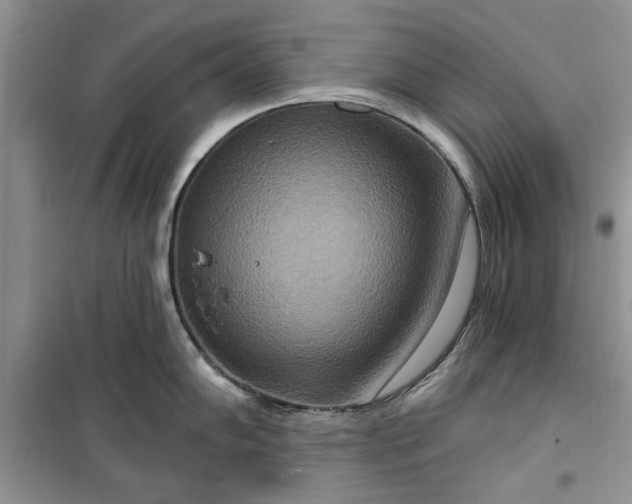 X0000099501102200805291122