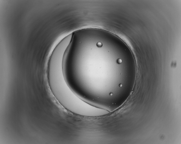 X0000099501104200805291122