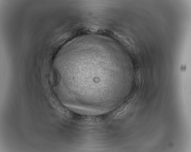 X0000099501105200805291122