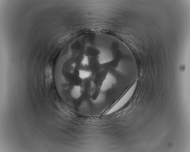 X0000099501106200805291122