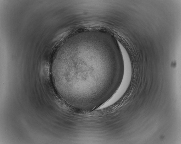 X0000099501108200805291122