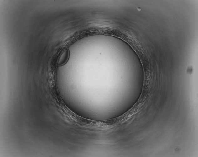 X0000099501109200805291122