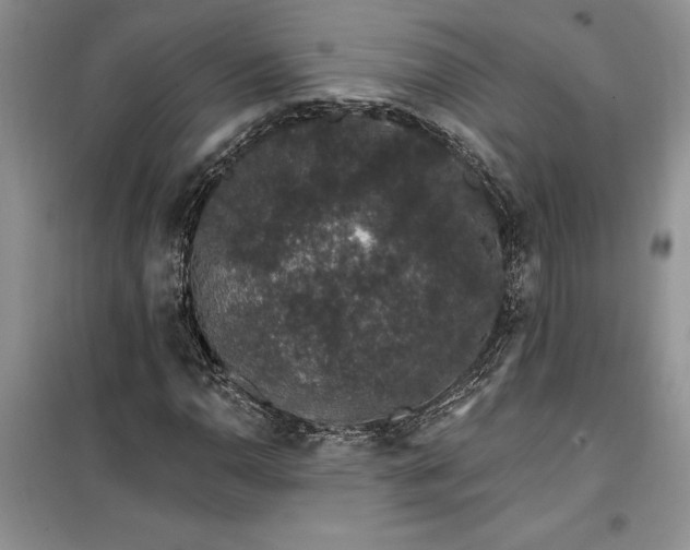 X0000099501110200805291122