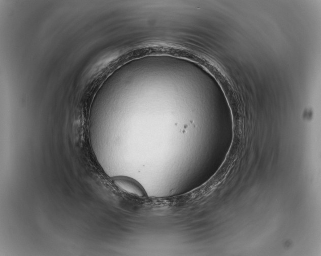 X0000099501111200805291122