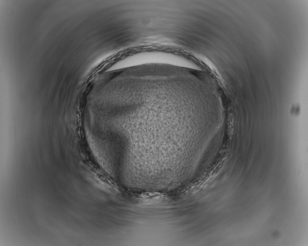 X0000099501112200805291122