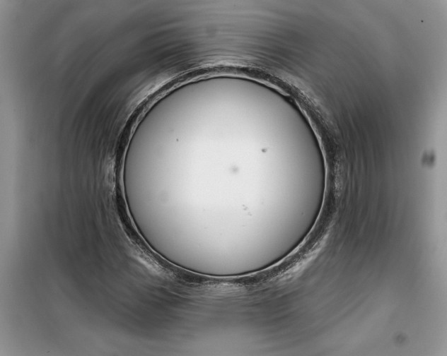 X0000099501113200805291122