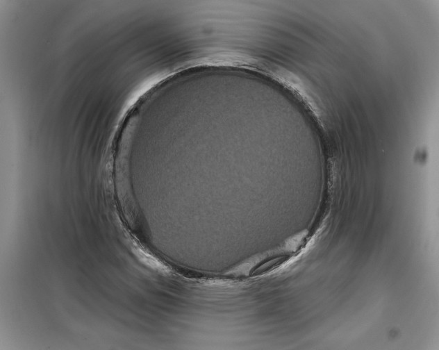 X0000099501114200805291122