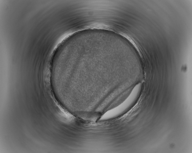 X0000099501115200805291122