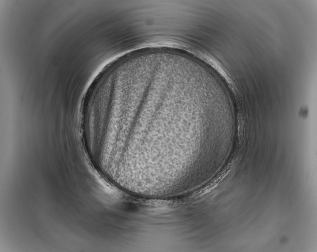 X0000099501116200805291122