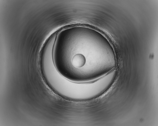 X0000099501118200805291122