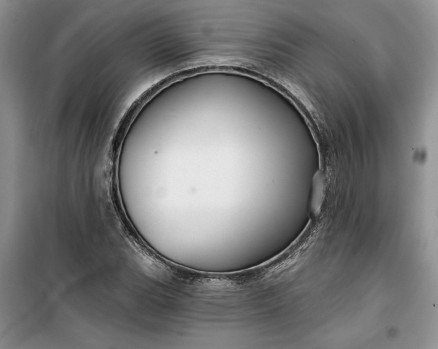 X0000099501119200805291122