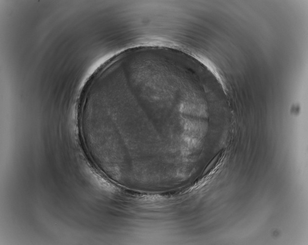 X0000099501120200805291122