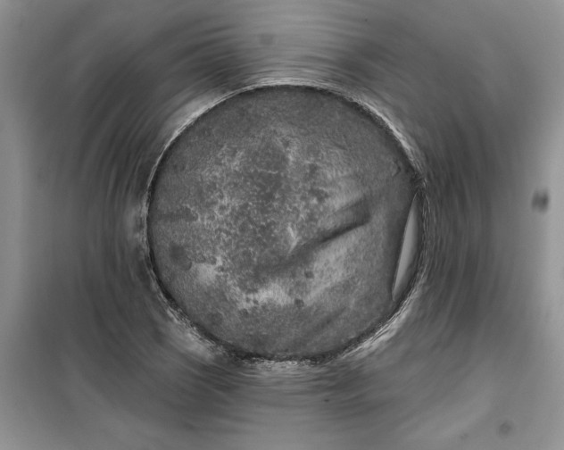 X0000099501121200805291122