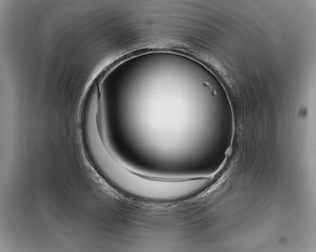 X0000099501122200805291122