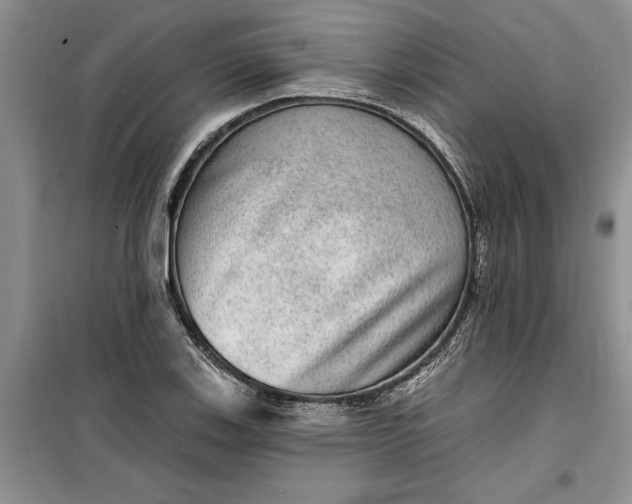 X0000099501123200805291122