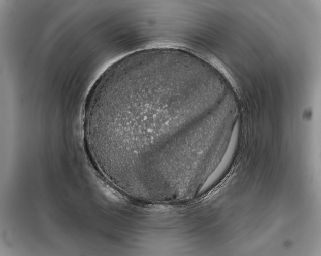 X0000099501124200805291122