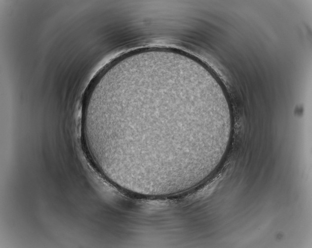 X0000099501126200805291122