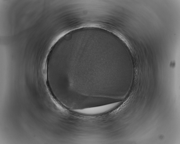 X0000099501127200805291122