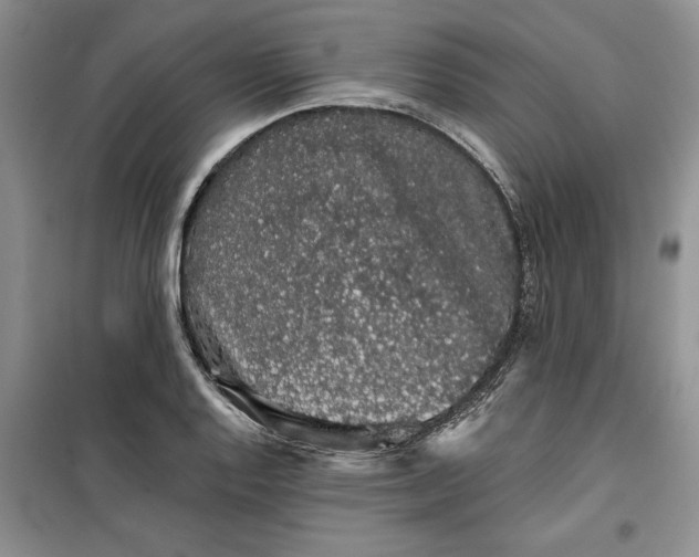 X0000099501128200805291122