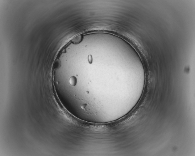 X0000099501129200805291122