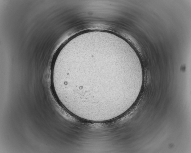 X0000099501130200805291122