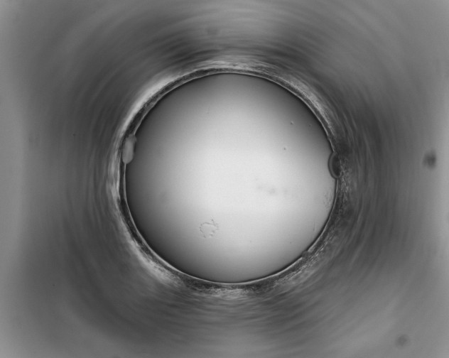 X0000099501131200805291122