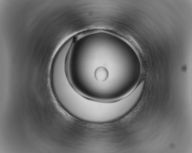 X0000099501132200805291122