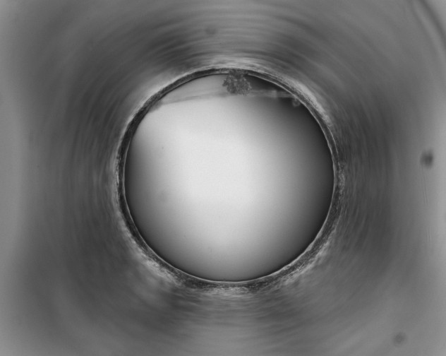 X0000099501133200805291122