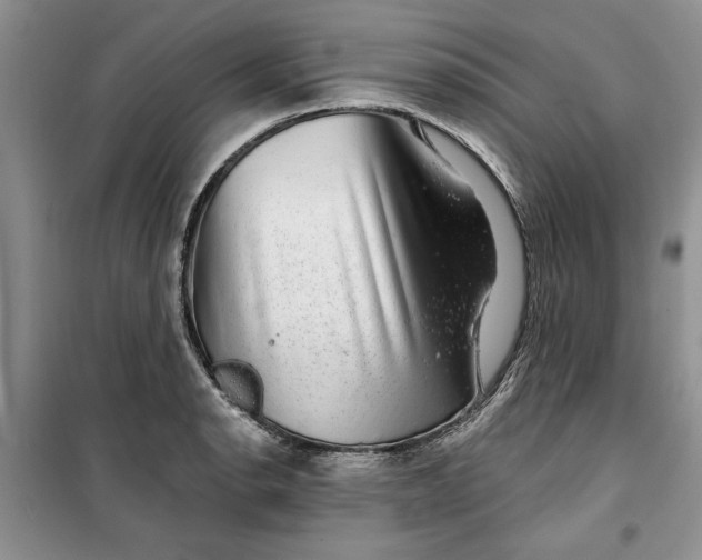 X0000099501134200805291122