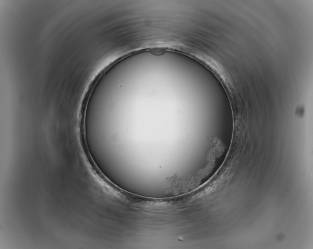 X0000099501135200805291122