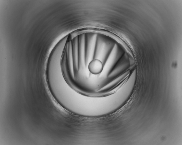 X0000099501136200805291122