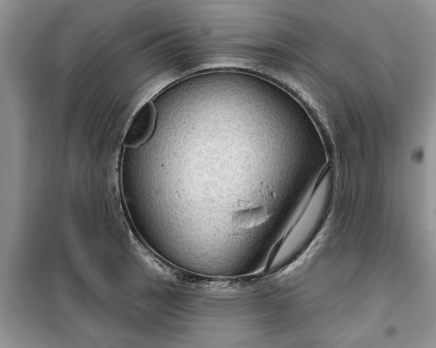 X0000099501137200805291122