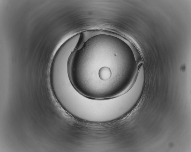 X0000099501138200805291122