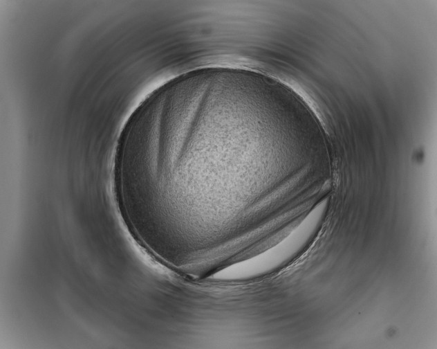 X0000099501139200805291122